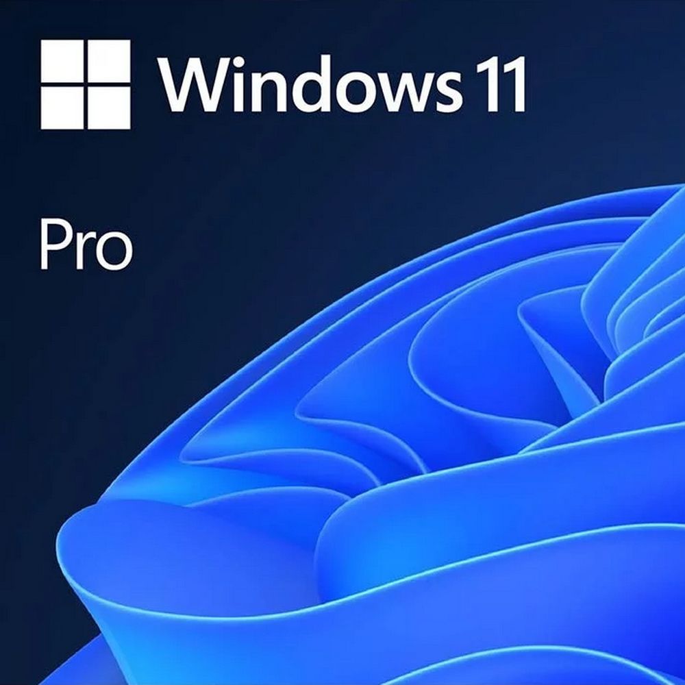 Операционная система Microsoft Windows 11 Professional FPP (BOX) 64-bit English Int 1 License non-EU/EFTA USB Flash Drive (HAV-00164)