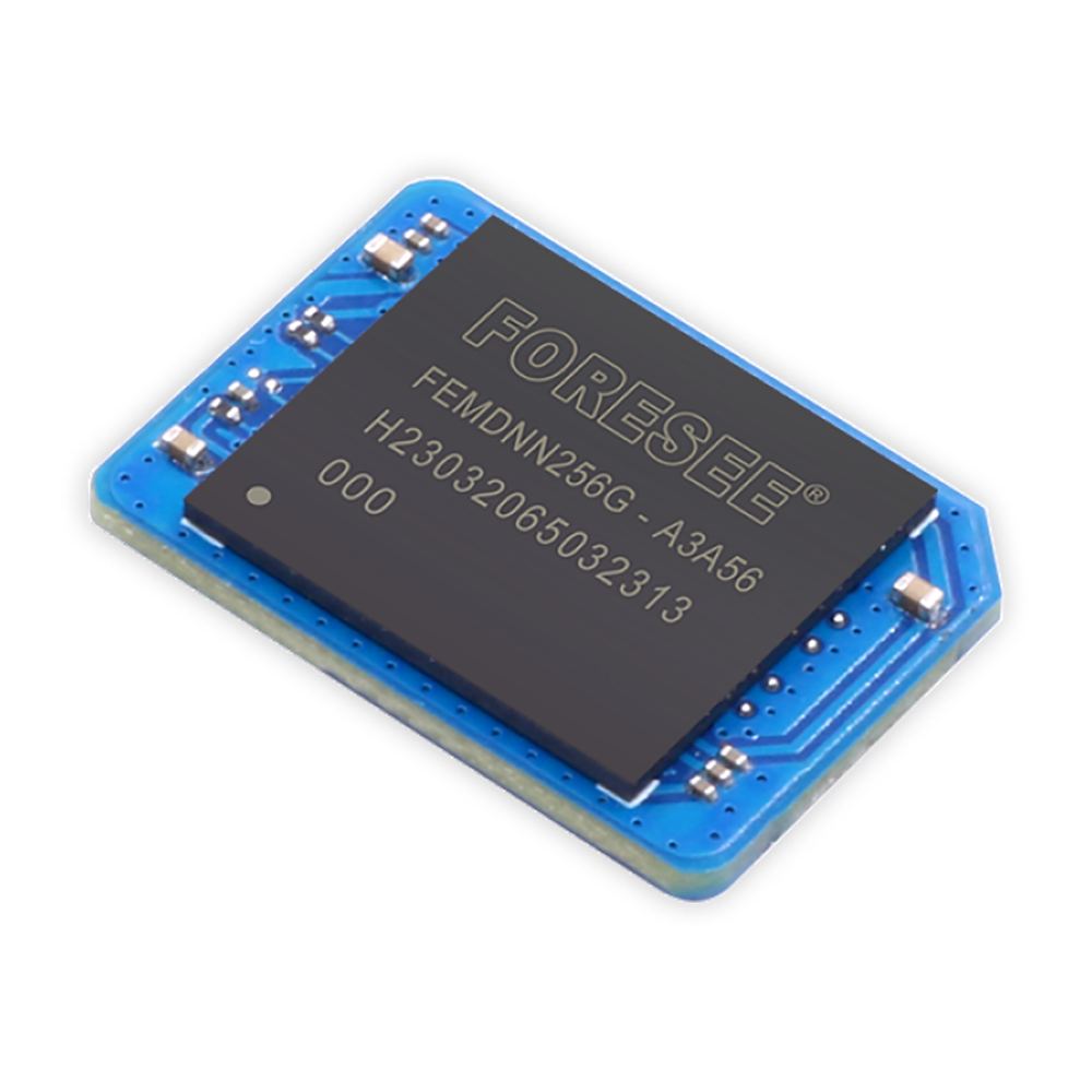 Orange Pi eMMC 256 GB
