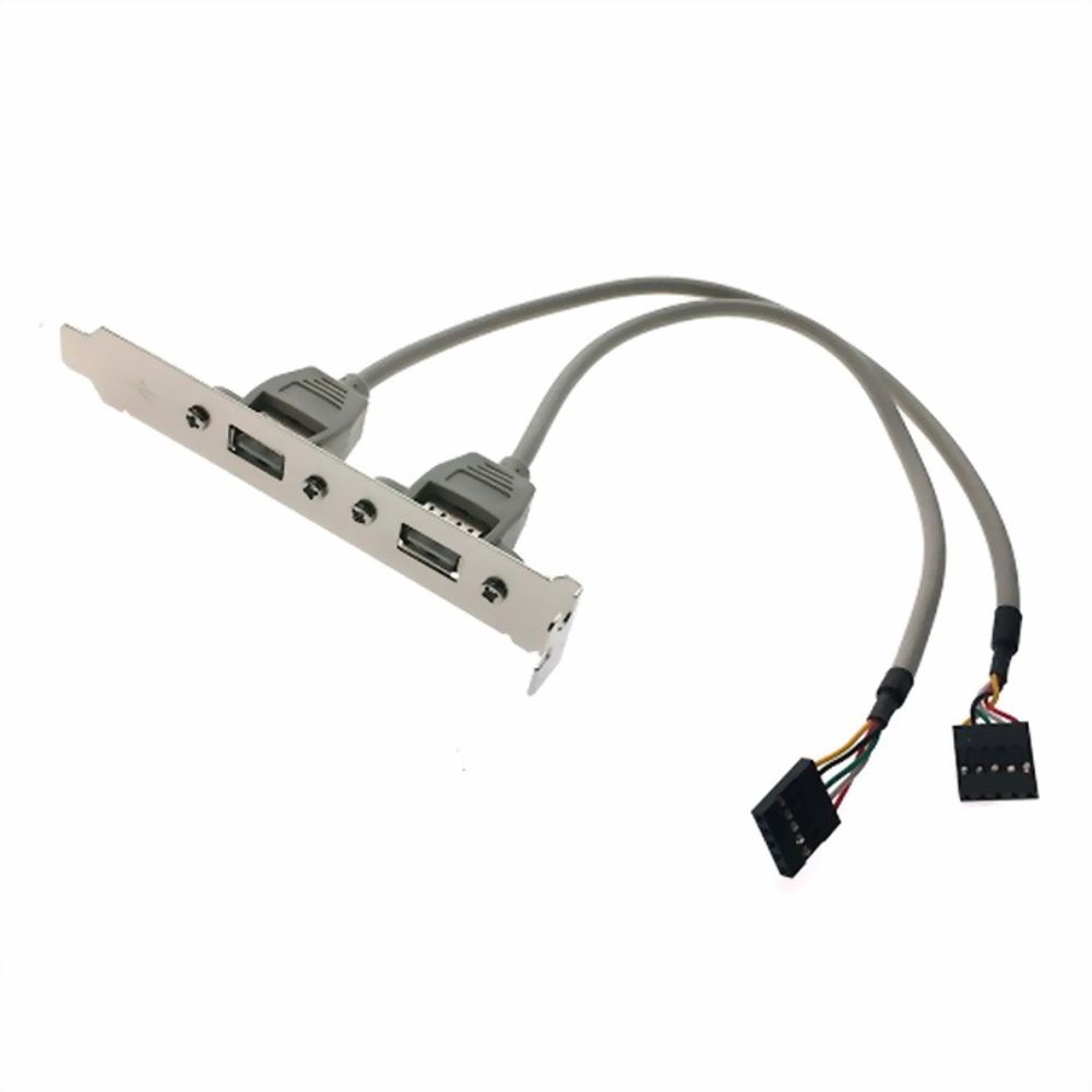 Кабель Advantech 1700100170 (1700100170-S)   Cable 2*5P-2.54/USB-A(F)*2 17.5cm W/BKT F/5, with bracket